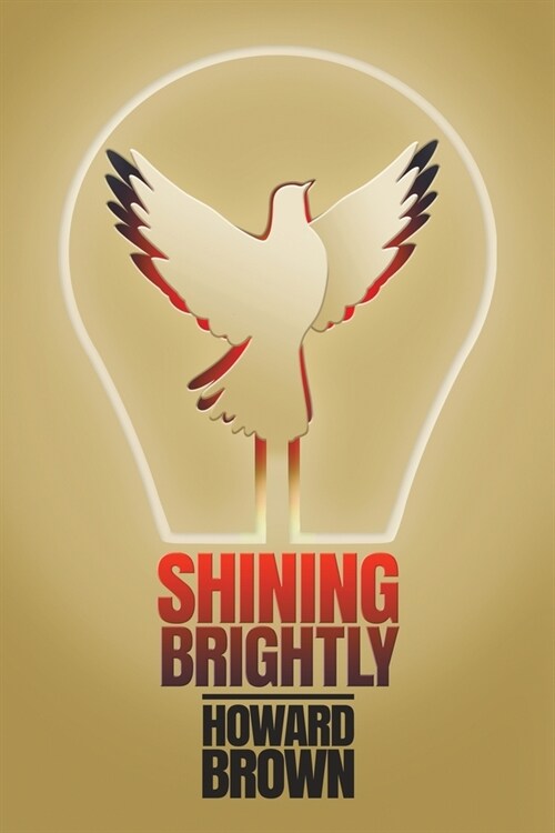 Shining Brightly: A memoir of resilience and hope by a two-time cancer survivor, Silicon Valley entrepreneur and interfaith peacemaker (Paperback)