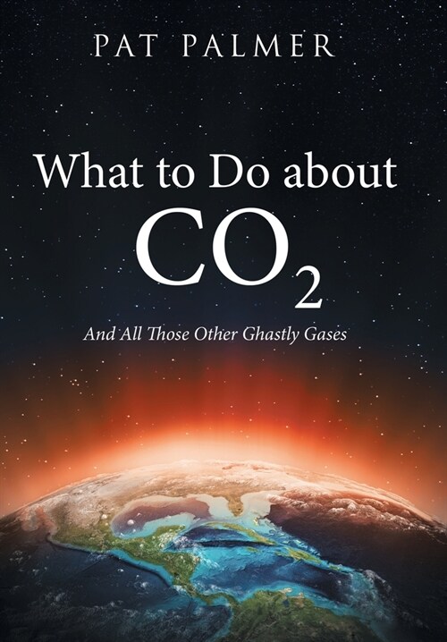 What to Do About Co2: And All Those Other Ghastly Gases (Hardcover)