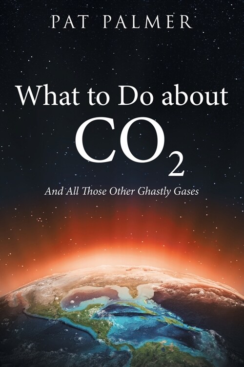 What to Do About Co2: And All Those Other Ghastly Gases (Paperback)