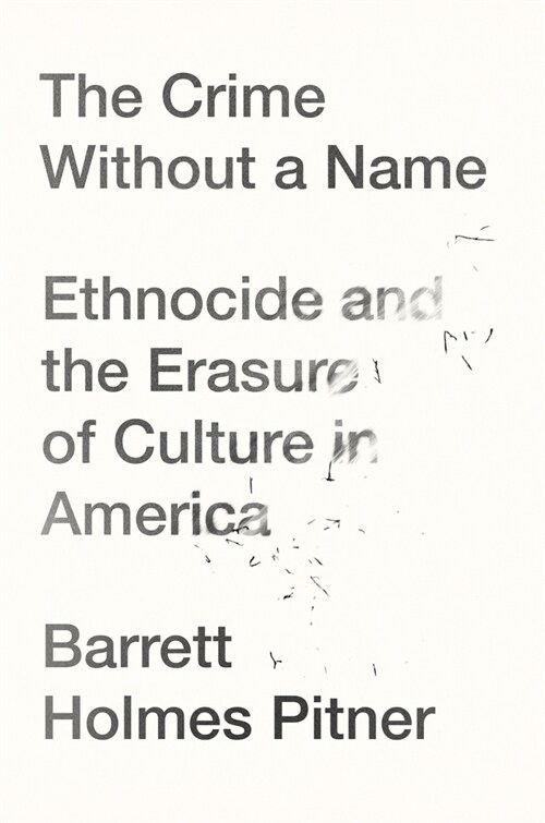 The Crime Without a Name: Ethnocide and the Erasure of Culture in America (Paperback)