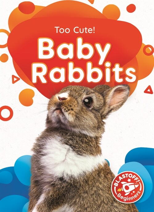 Baby Rabbits (Paperback)