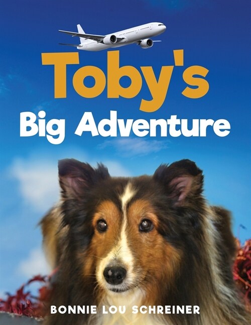Tobys Big Adventure (Paperback)