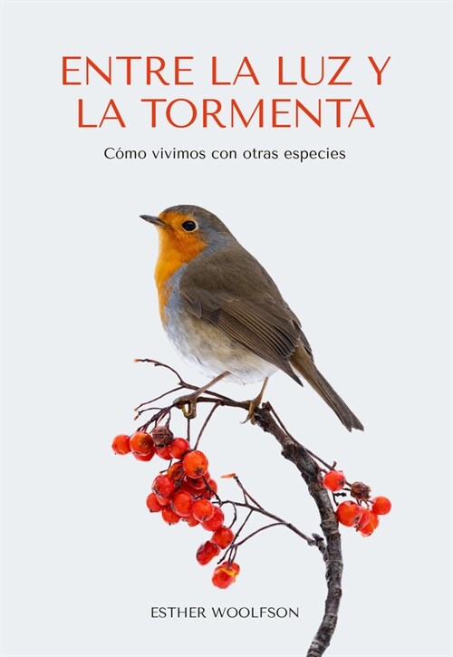 ENTRE LA LUZ Y LA TORMENTA (Paperback)