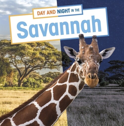 Day and Night in the Savannah (Hardcover)