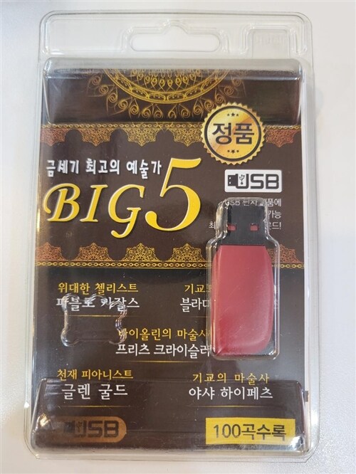 [중고] [USB] BIG5 (금세기 최고의 예술가)