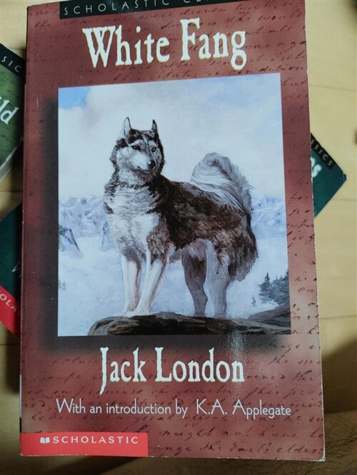 [중고] White Fang (Scholastic Classics) (Mass Market Paperback)