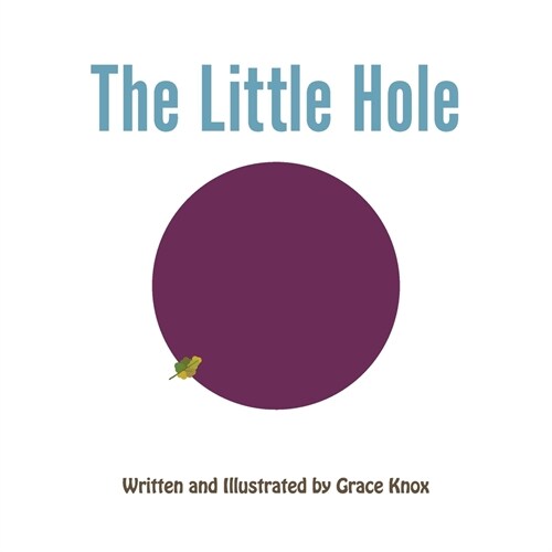 The Little Hole (Paperback)