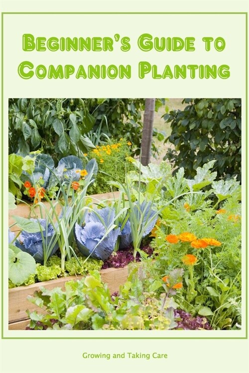 Beginners Guide to Companion Planting: Growing and Taking Care: Growing up and looking for others. (Paperback)