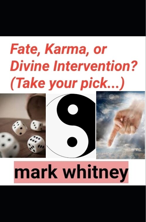 Fate, Karma or Divine Intervention? (take your pick...) (Paperback)