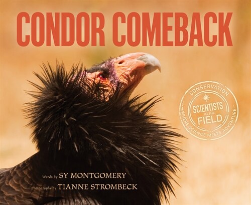 Condor Comeback (Paperback)