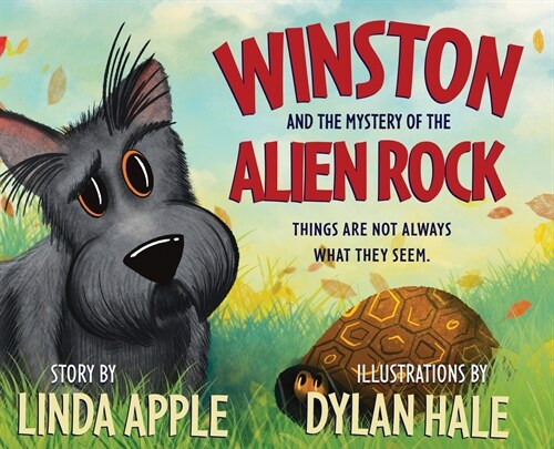 Winston and the Mystery of the Alien Rock (Hardcover)