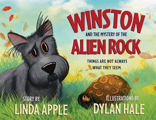 Winston and the Mystery of the Alien Rock (Paperback)