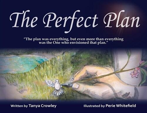 The Perfect Plan (Paperback)