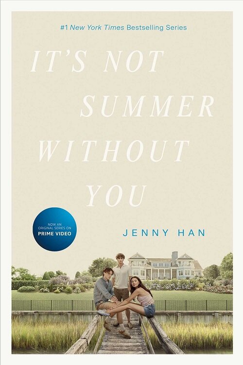 Its Not Summer Without You (Paperback, Media Tie-In)