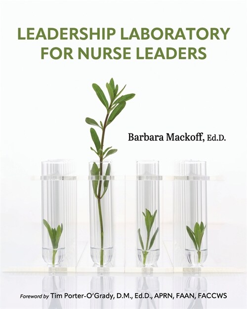 Leadership Laboratory for Nurse Leaders (Paperback)