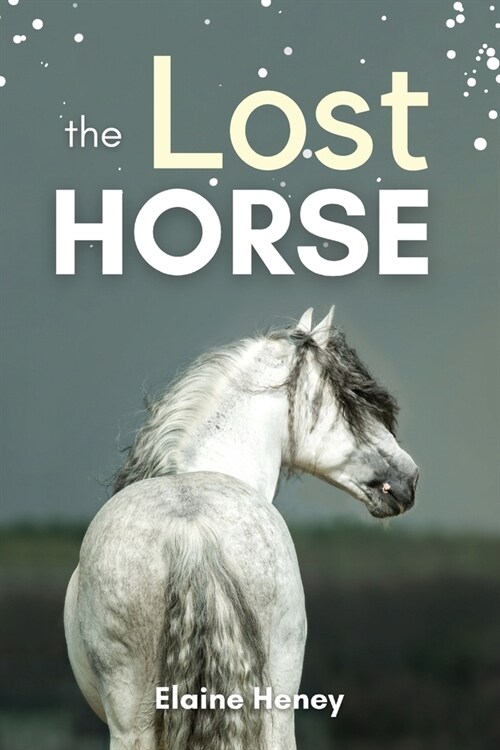 The Lost Horse - Book 6 in the Connemara Horse Adventure Series for Kids (Paperback)