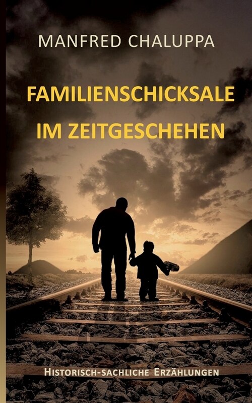 Familienschicksale im Zeitgeschehen (Paperback)