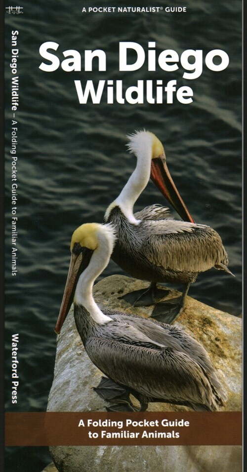 San Diego Wildlife: A Folding Pocket Guide to Familiar Animals (Paperback)