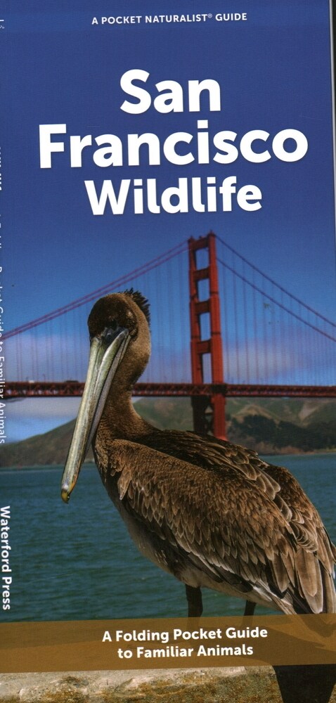 San Francisco Wildlife: A Folding Pocket Guide to Familiar Animals (Paperback)
