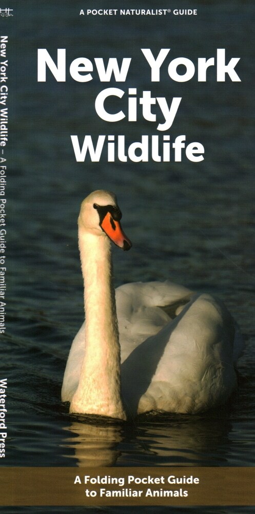 New York City Wildlife: A Folding Pocket Guide to Familiar Animals (Paperback)