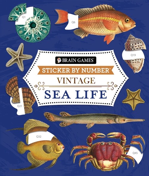 Brain Games - Sticker by Number - Vintage: Sea Life (28 Images to Sticker) (Paperback)