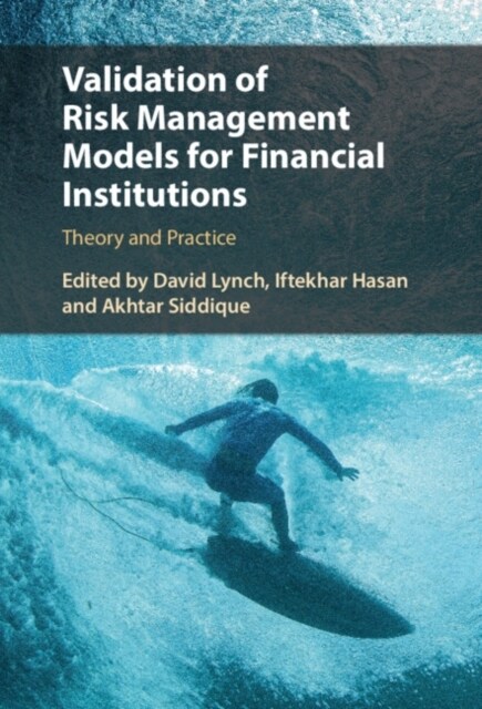 Validation of Risk Management Models for Financial Institutions : Theory and Practice (Hardcover)