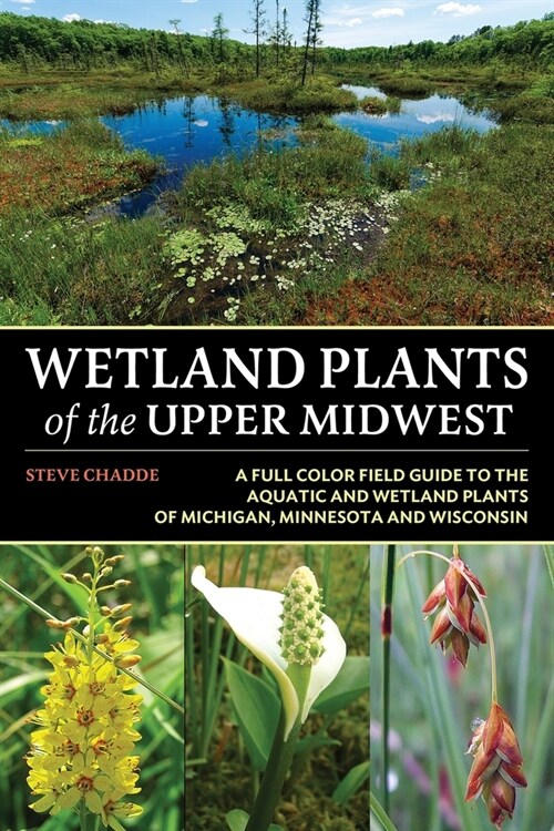 Wetland Plants of the Upper Midwest (Paperback)