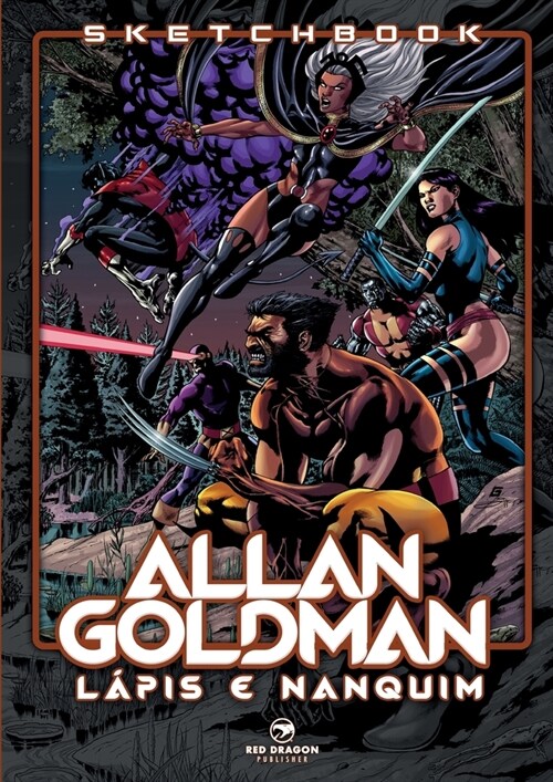 Sketchbook Allan Goldman (Paperback)