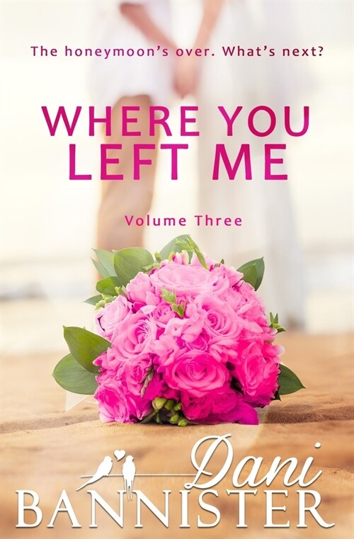 Where You Left Me, Vol. 3: A Lust to Lovers Romance (Paperback)