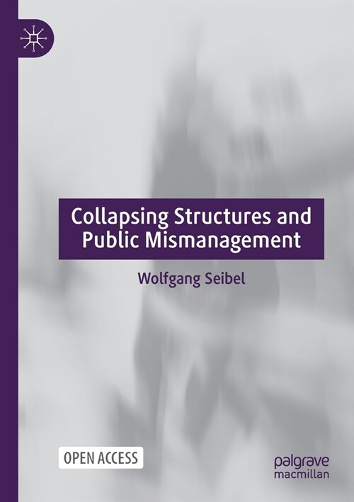 Collapsing Structures and Public Mismanagement (Paperback)