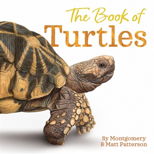 The Book of Turtles (Hardcover)