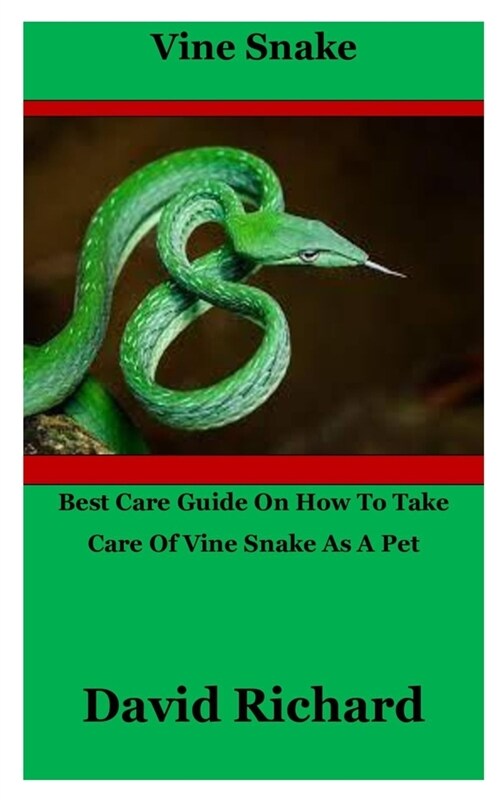 Vine Snake: Best Care Guide On How To Take Care Of Vine Snake As A Pet (Paperback)