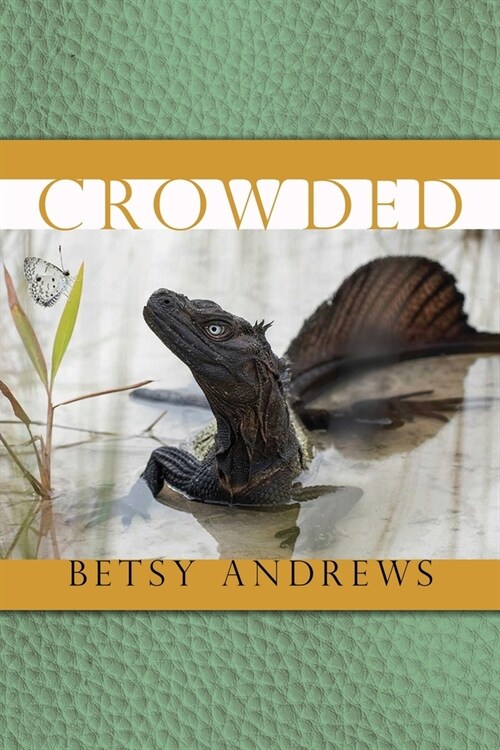 Crowded (Paperback)