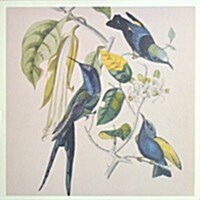 [수입] Susumu Yokota - Sakura (CD)