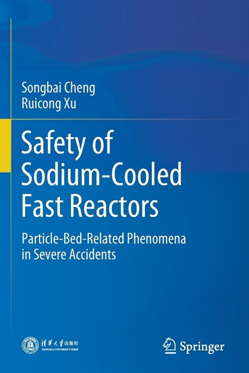Safety of Sodium-Cooled Fast Reactors: Particle-Bed-Related Phenomena in Severe Accidents (Paperback, 2021)