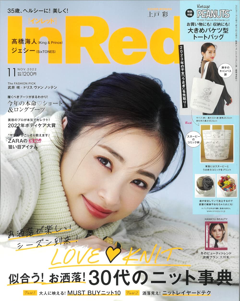 In Red (インレッド) 2022年 11月號 [雜誌] (月刊, 雜誌)
