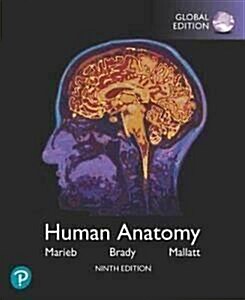 [중고] Human Anatomy, Global Edition (Paperback, 9 ed)