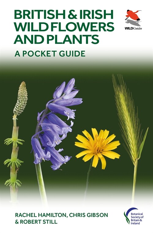 British and Irish Wild Flowers and Plants: A Pocket Guide (Paperback)