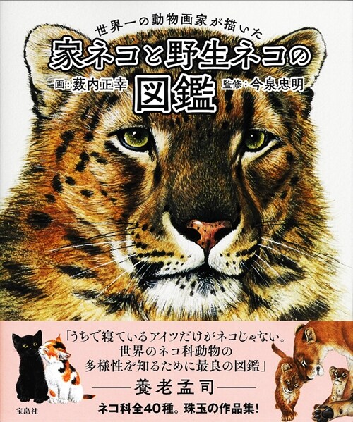 世界一の動物畵家が描いた家ネコと野生ネコの圖鑑