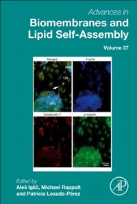 Advances in biomembranes and lipid self-assembly .