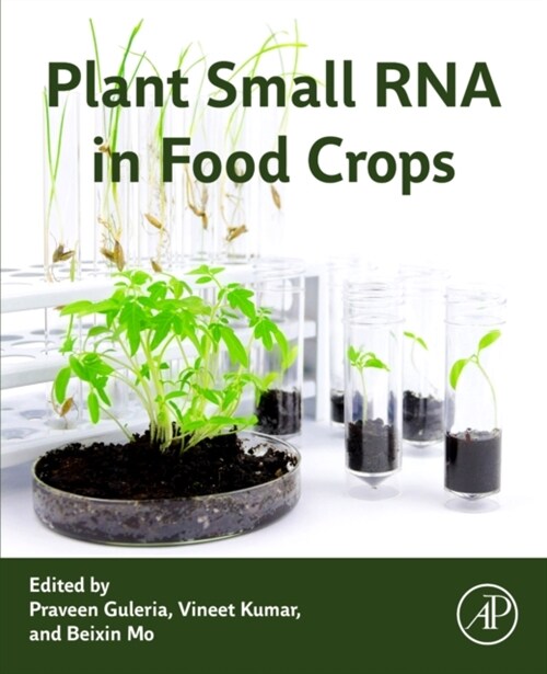 Plant Small RNA in Food Crops (Paperback)