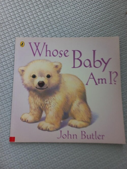 [중고] Whose Baby am I? (Paperback)