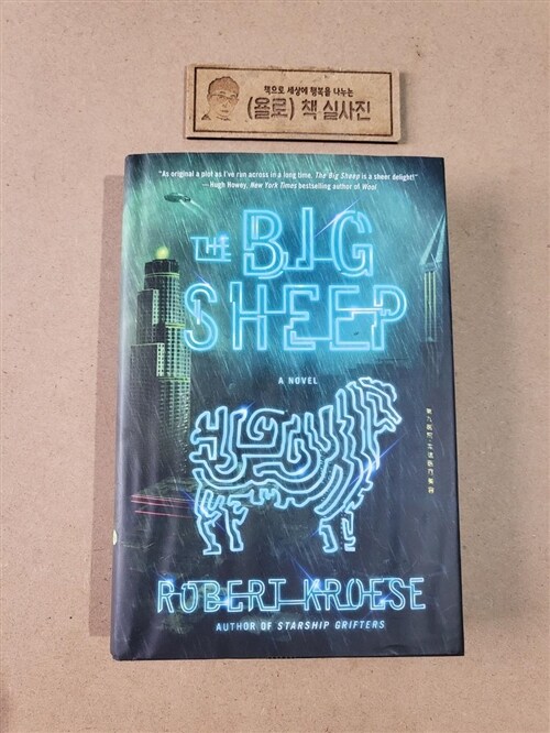[중고] Big Sheep (Hardcover)