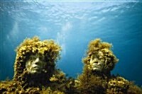 The Underwater Museum: The Submerged Sculptures of Jason Decaires Taylor (Hardcover)
