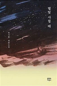 별빛 사윌 때 : 최시한 장편소설 표지이미지