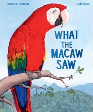 What the Macaw Saw (Hardcover)