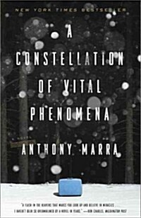 A Constellation of Vital Phenomena (Paperback, Deckle Edge)