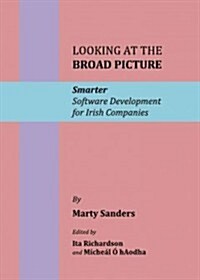 Looking at the Broad Picture : Smarter Software Development for Irish Companies (Hardcover)