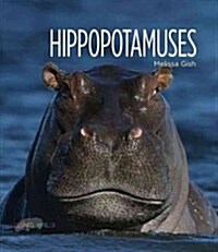 Hippopotamuses (Paperback)