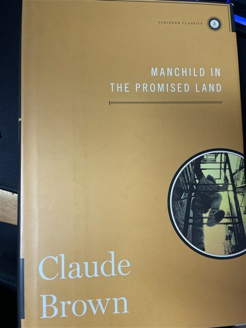 [중고] Manchild in the Promised Land (Hardcover)